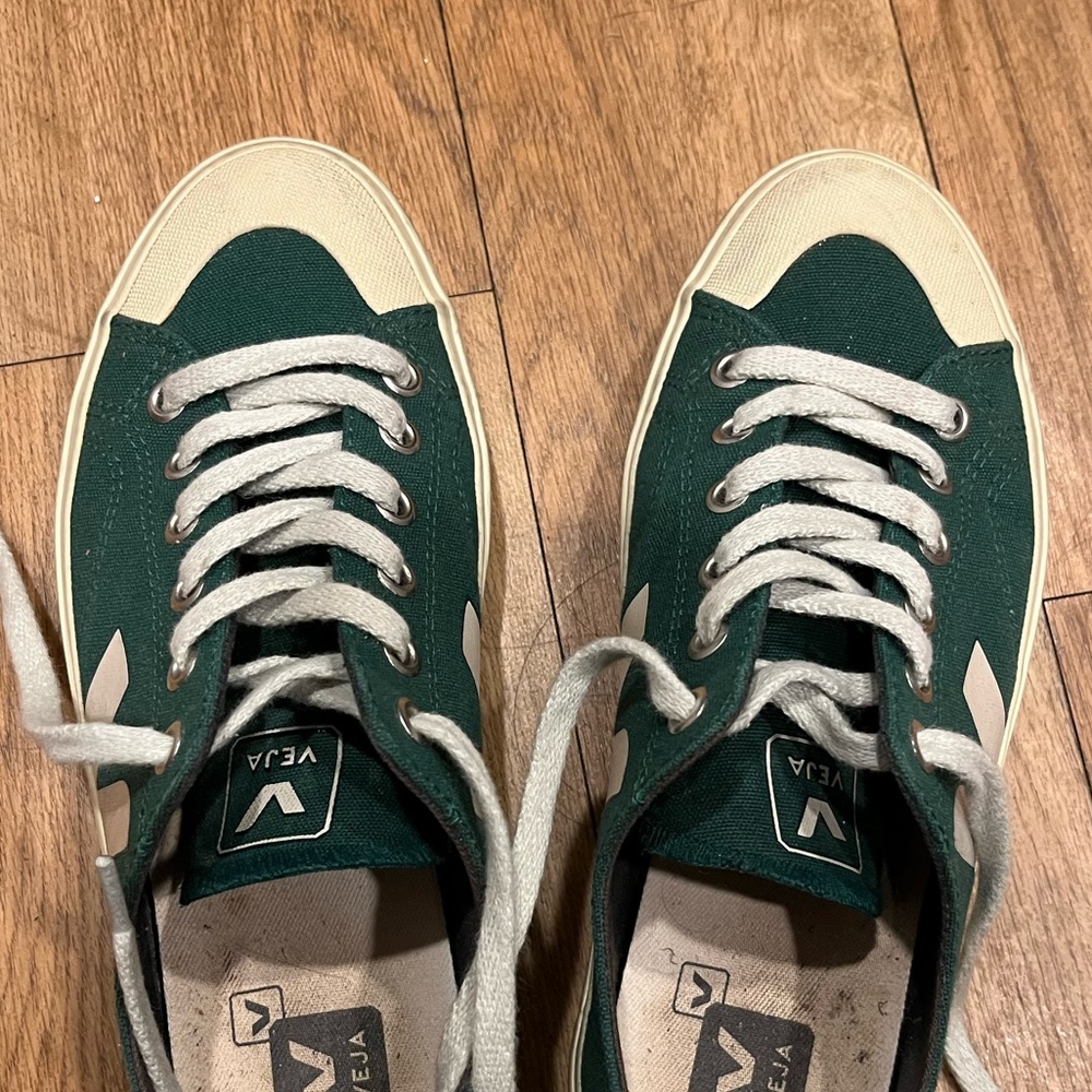 Veja Nova Canvas Sneaker
